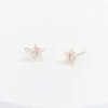 Rhinestone Star Earrings