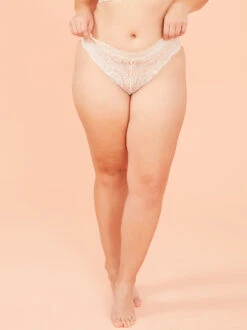 Stretch Lace Cheeky Undie -ChicAura Store 004141 ARPT22072 SAND DOLLAR 02
