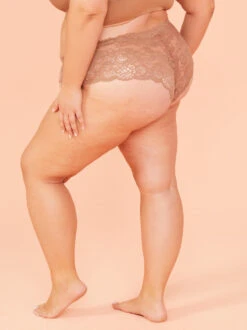 Stretch Lace Hipster Undie -ChicAura Store 004141 ARPT22073 RAW UMBER 04